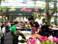/album/a2014/la-regence-cafe-vence-1313598867-1-jpg1/